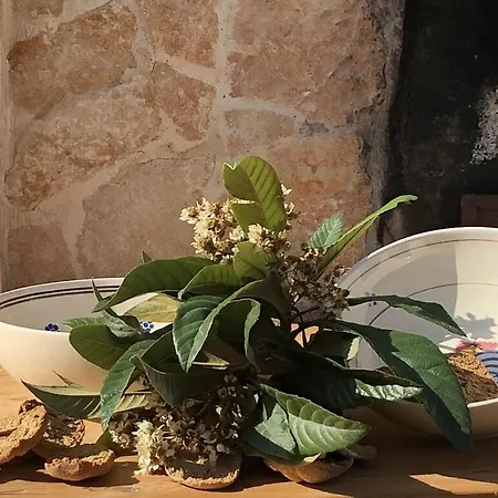 بيت للعطل Chateaux Des Trulli *